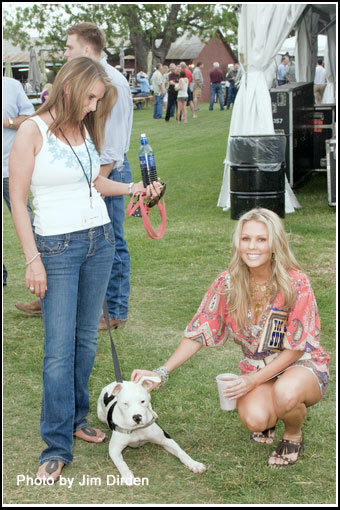 sponsors_ccmf2010_dvd1_0045