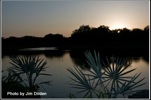 sunset_ccmf2012_dvd2_2648