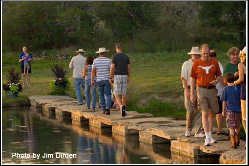 crowd_ccmf2013_02_2681