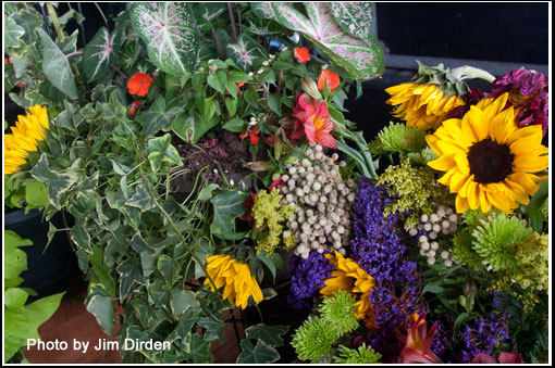 flowers_ccmf2013_02_3889