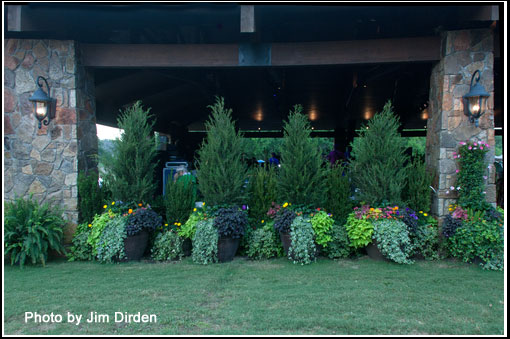 flowers_ccmf2013_02_3898