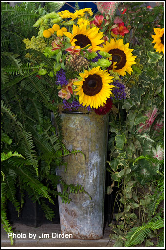 flowers_ccmf2013_03_2928