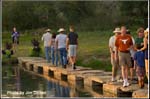 crowd_ccmf2013_02_2681