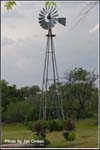 flowers-windmill_ccmf2013_02_2638