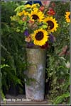 flowers_ccmf2013_03_2928