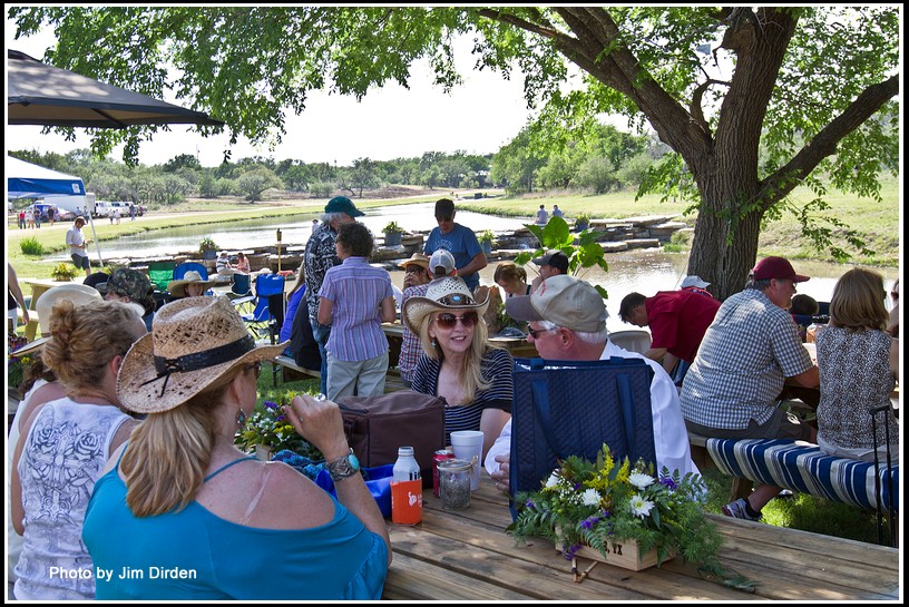 crowd_ccmf2014_4852