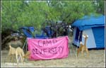 campground_hmf03_cd1_0549