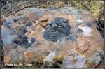 nature-walk_hmf03_cd1_0537