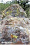 nature-walk_hmf03_cd1_0542
