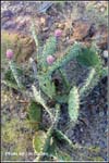 ranch_hmf03_cd2_0721