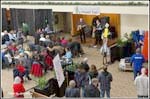 battle-bands_sterner-sundown_music-fair_ifac2015_05_7977