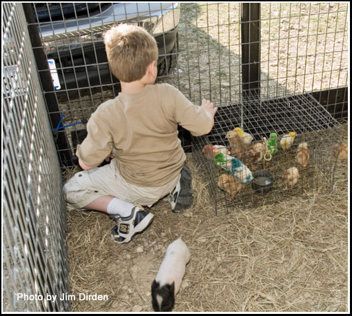 kids-zoo_osmf07_dvd2_5183