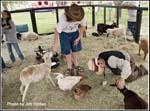 kids-zoo_osmf07_dvd3_5290