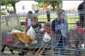 kids_wf01_cd4_0022.jpg (89534 bytes)