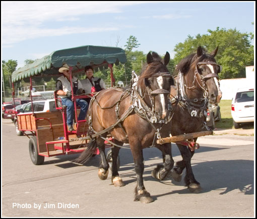 horses_wgf04_cd8_0057